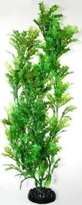 Sztuczna roślina akwariowa Cierń Wodny 20cm HAILEA