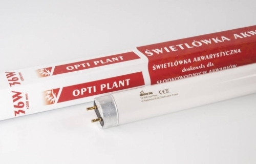 ŚWIETLÓWKA OPTI PLANT 36W T8